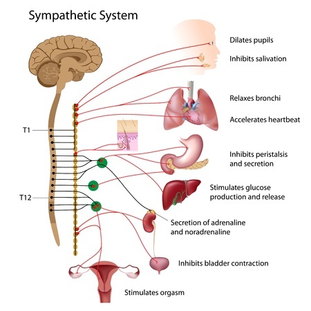 SympSystem