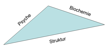 UngleichseitigesDreieck